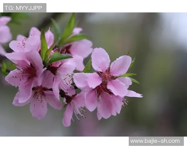 乱花渐欲迷人眼 足球明星光影背后的荣耀与挑战